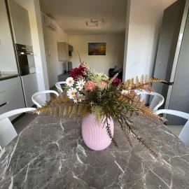 Villa Primule Cattolica, hotel in Cattolica