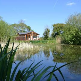 Welhams Meadow Holiday Lodges, hotel in Ringshall