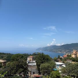 Garden Seaview Camogli