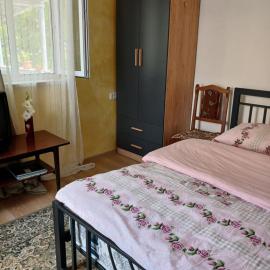 Shamb guest house