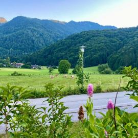 Apartment Bergnest, hotel din Schleching