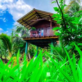 Sigiri Sandilu Homestay, hotel em Sigiriya