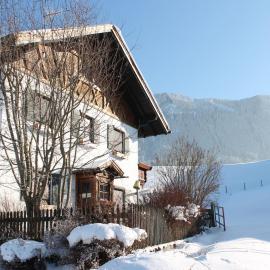Alpenapartment mit Garten