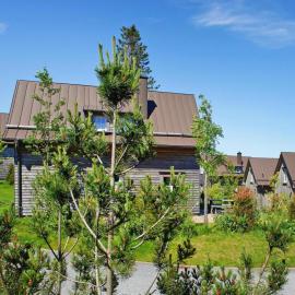 Semi-detached houses, turf house, hotel Torfhausban