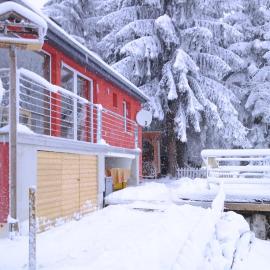 Ski und Wanderurlaub im Wald Ferienhaus Adlerblick