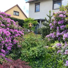 Wohnung nahe Inselsberg Wanderwege