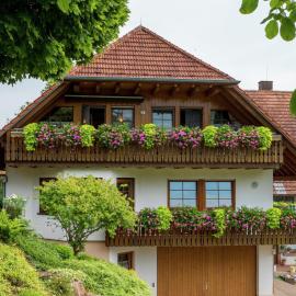 Gemütliche Ferienwohnung im Schwarzwald