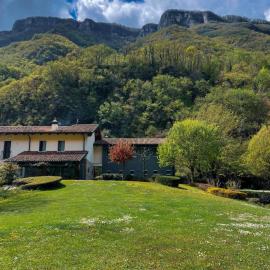 Lunaria Casa