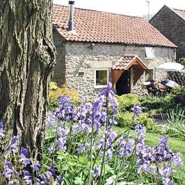 Old Barn Cottage