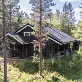 Jänkäkolo Holiday Home - Valkea Homes, hotel a Pyhätunturi