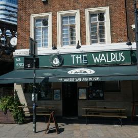 The Walrus Bar and Hostel
