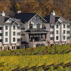Nicewonder Farm & Vineyards, hotell i Bristol