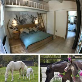 Camps-la-Source에 위치한 호텔 Charming studio in an exceptional equestrian farm