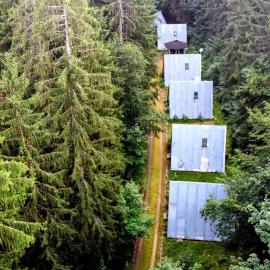 Hütte Tannengrün - Ruheort mitten im Wald, Hotel in Eibenstock