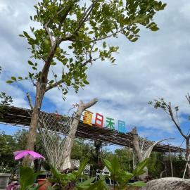 夏日禾風會館、車城郷のホテル