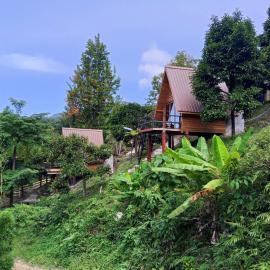 The BED Forest Camp Lansaka ฟอเรสแค้มป์ ลานสกา, khách sạn ở Baen
