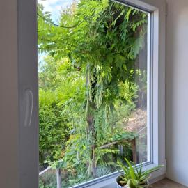 Sonnenberg Wohnung im Haus Frey 2 BR, Küche, Bad, Parken、ラインスヴァイラーのホテル