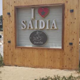 Saidia beach home