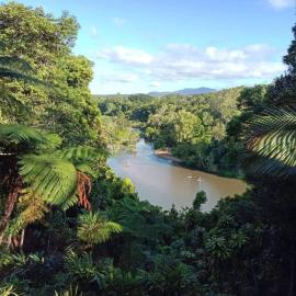Kuranda Rainforest House, hotel v destinácii Kuranda