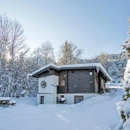 Family chalet with garden & terrace