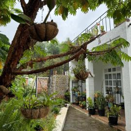 Roselune Home, hotel en Gasanze
