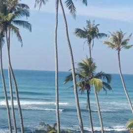 ABR Ahangama Beach Resort, hotel in Ahangama