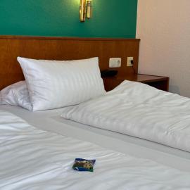 Hotel am Bergl, hotel u gradu 'Schweinfurt'