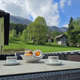 Urlaub mit Bergblick - Ferienhaus in Bad Bleiberg