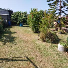 Rootscamp, hotell i Surinam