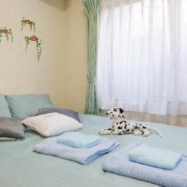 Cosmo Mercy N-1 / Vacation STAY 12990
