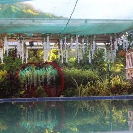 Viesnīca Socorros nature place pilsētā Antipolo