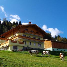 Biobauernhof Aslgut, hotel in Bad Hofgastein