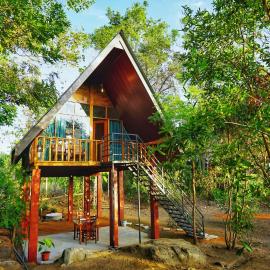 Jungle Crown Cabin