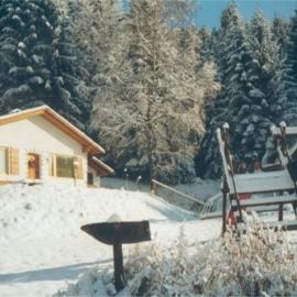 Alpine Hut in Eberstein near Ski Area