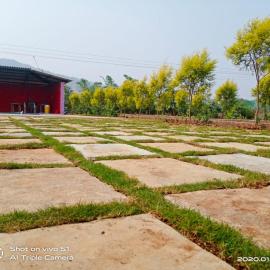 Bs patil farmhouse by Prashant Patil