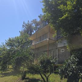 Guesthouse "Pines", hotel in Urekis Sadguri