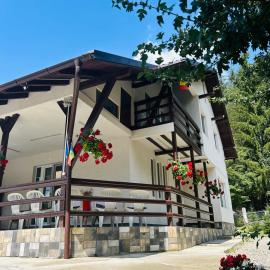 Vila Iulia, hotelli kohteessa Trăisteni