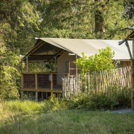 Windermere - Safari Suite, viešbutis mieste Amblsaidas