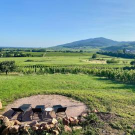 L'horizon des vignes