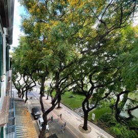 PIER HOUSE Accommodation, hotel in Funchal