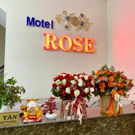 Rose