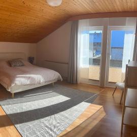 Schwarzwald Apartments III, hotell sihtkohas Lenzkirch