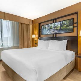 Best Western Queens Gold Coast, hotel en Queens