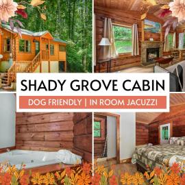 Shady Grove, Pet-Friendly Cabin, In-Room Jacuzzi, King Bed, WiFi