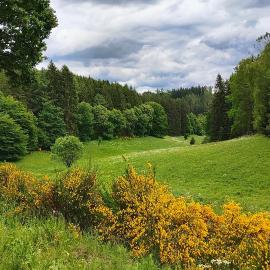 Suhl में, होटल Seßles Waldhäuschen Dietzhausen