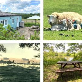 Park Farm Chalet, khách sạn ở Hawkhurst