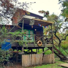 Cabaña los sauces, hotel in Tigre