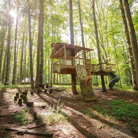 Good Times cabin at Cabin Fever in NC