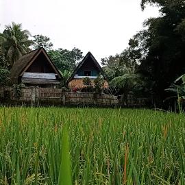 D'Bulan bungalows and kafe, hotel v destinácii Tetebatu