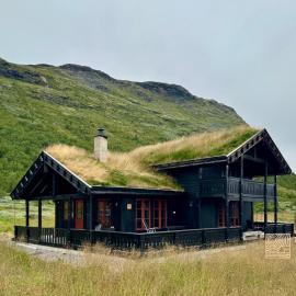 Modern cabin sauna, BBQ & beautiful view Filefjell, hotel in Tyinkrysset